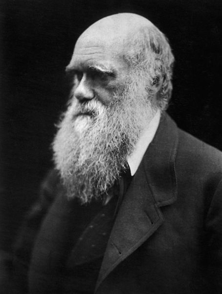 Charles Darwin photographed by Julia Margaret Cameron, 1868